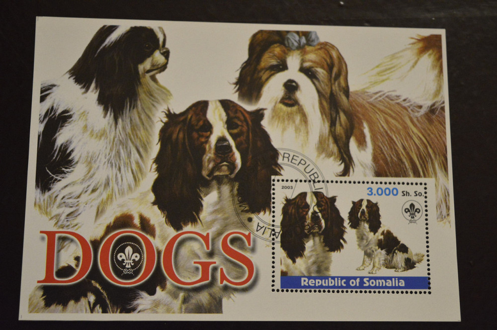 Сомали. Фауна. Животные. 2003 год Полтава - изображение 1