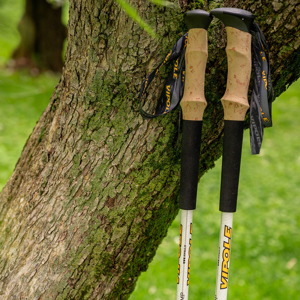 Палки трекинговые Vipole Base Camp Cork DLX (S25 06) Вінниця - фото 4