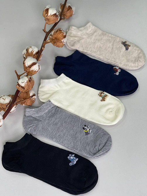 Набор коротких носочков 80% коттон 5 пар р.41-47 Черновцы - изображение 1