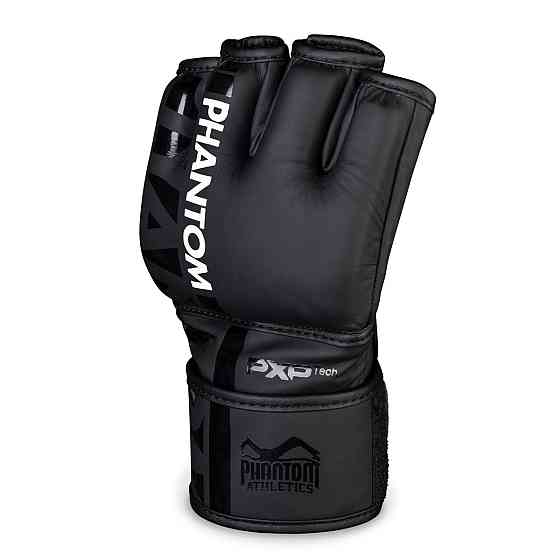 Рукавиці для ММА Phantom APEX Black L/XL (капа у подарунок) Кам'янське