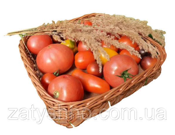 Лоток плетеный из лозы для хранения фруктов и овощей Киев - изображение 1