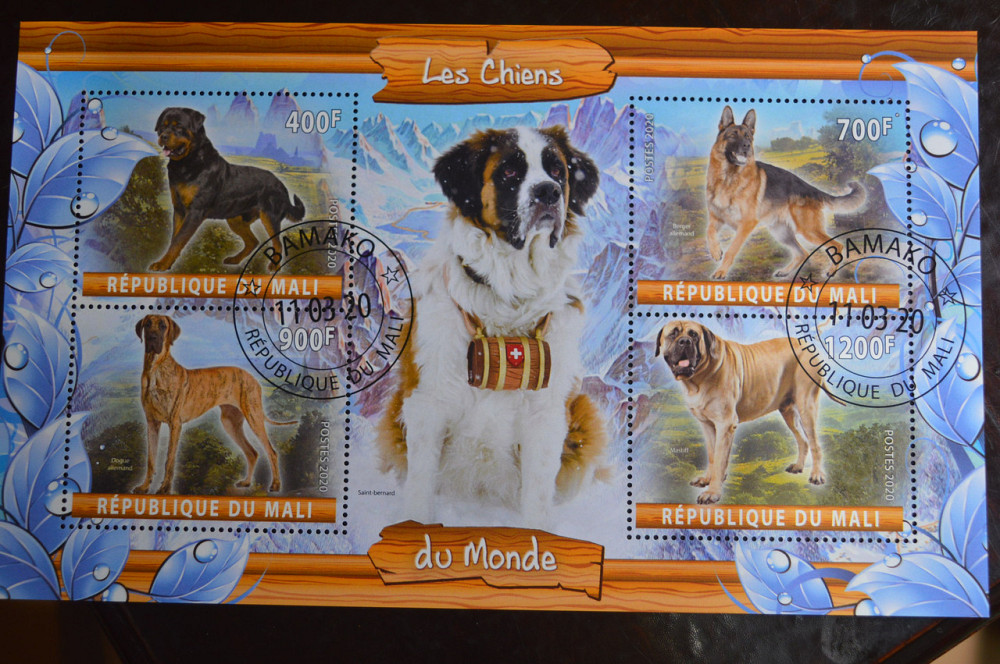 Мали. Марки. Фауна. Блок. 2020 год (В-2) Полтава - изображение 1