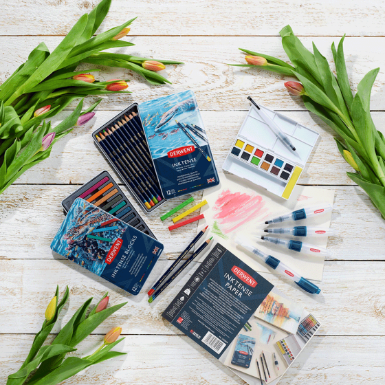 Чернильные карандаши Inktense 12кол Derwent Киев