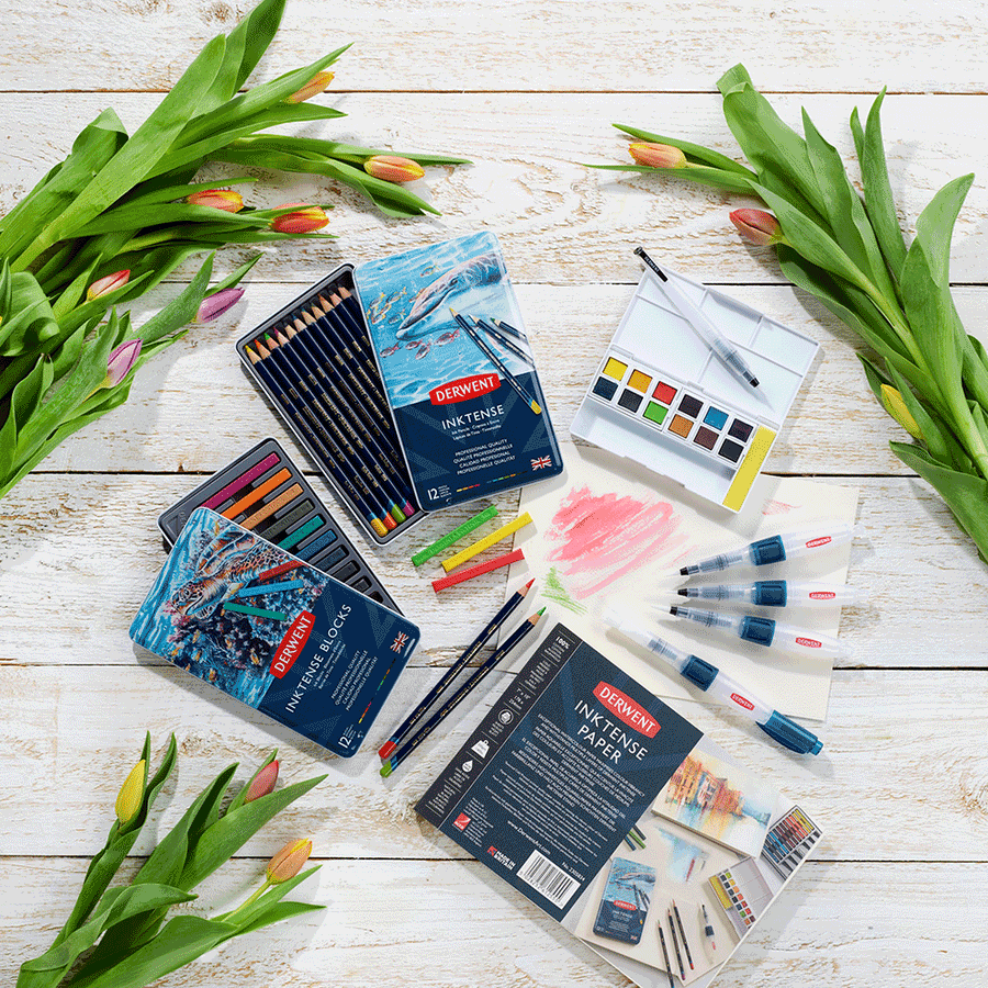 Чернильные карандаши Inktense 12кол Derwent Киев - изображение 4