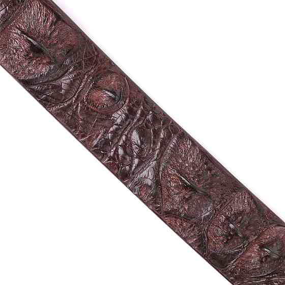 Ремінь чоловічий CROCODILE LEATHER 18178 з натуральної шкіри крокодила Коричневий Київ