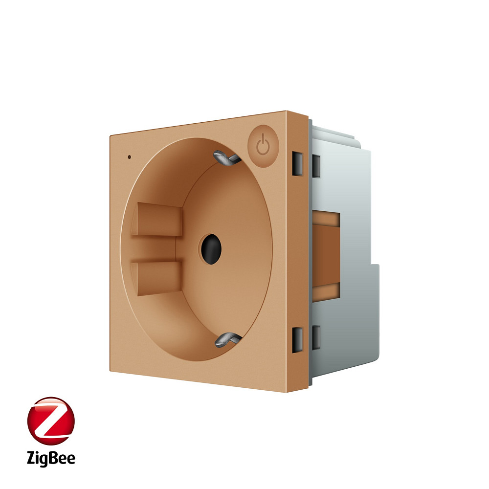 LIVOLO Розумна розетка LIVOLO ZigBee, з заземленням, золота, 16А 230В, керування через Alexa / Коломия - фото 1