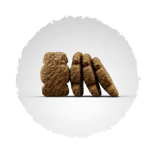 Сухой корм Josera Kids (Йозера Кидс) для растущих щенков средних и крупных пород 12.5 кг Винница