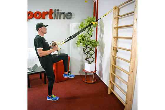 Подвесная система для силовых тренировок inSPORTline MultiTrainer, желтый Киев