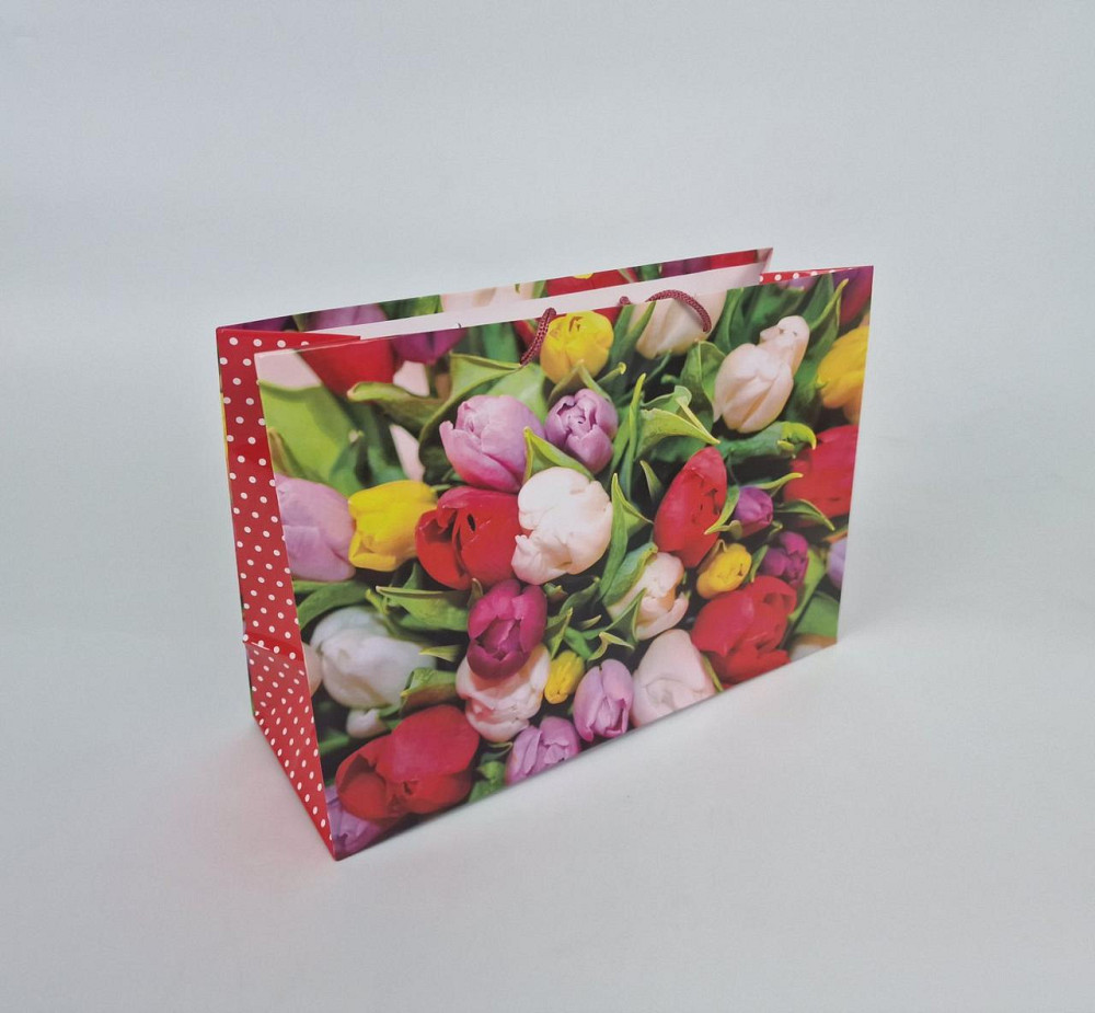 Паперовий великий горизонтальний пакет 36/22/10 (артBG-037) (12 шт.) Харків - фото 1