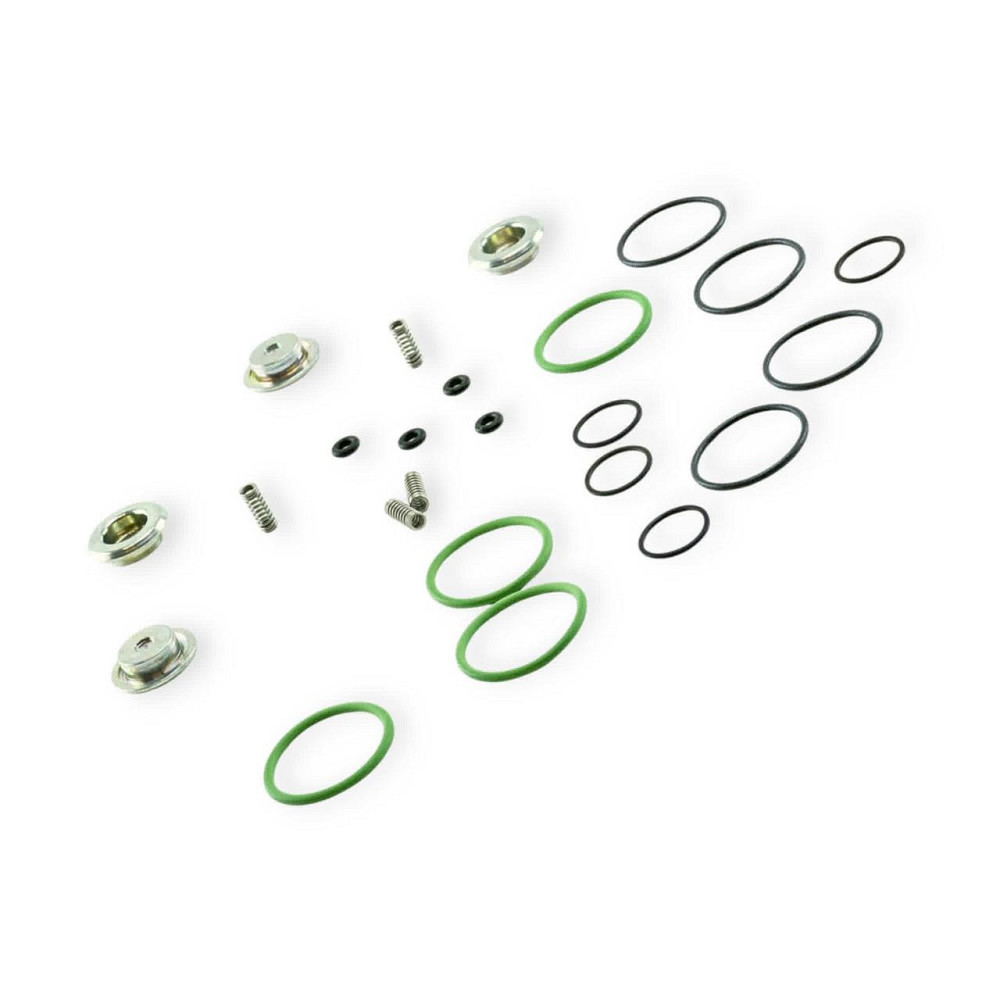 Ремкомплект форсунок AEB на 4 циліндри Мукачево - фото 1