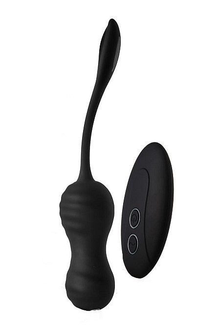 Віброяйце з пультом керування Dream Toys Dark Desires Virginia чорний, 18.6 х 3.5 см Sex Aura Київ - фото 1