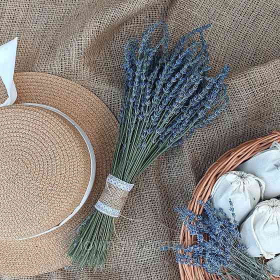 Букет Лавандина, сухоцвет с насыщенным ароматом для декора и подарка Ирпень