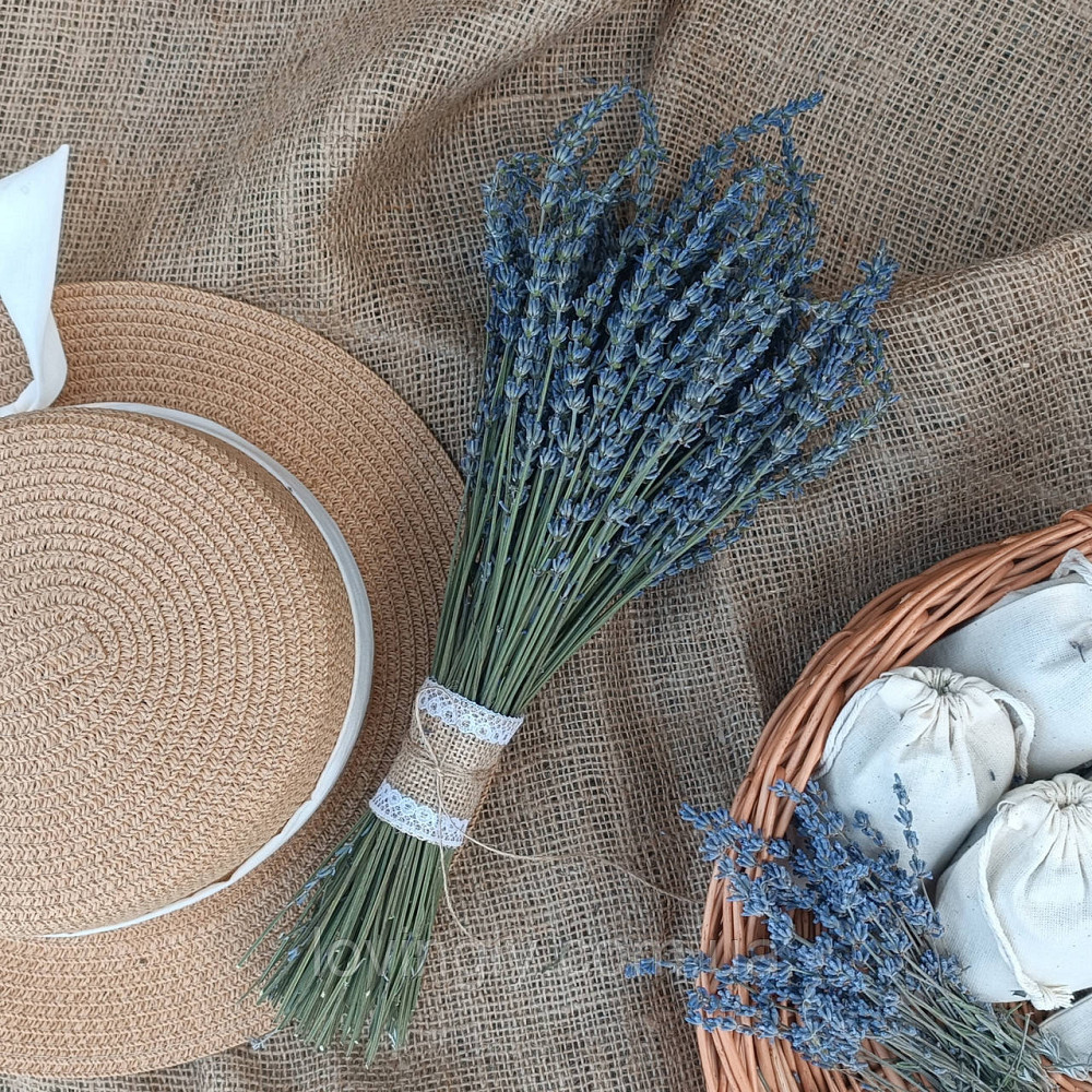 Букет Лавандина, сухоцвет с насыщенным ароматом для декора и подарка Ирпень - изображение 3