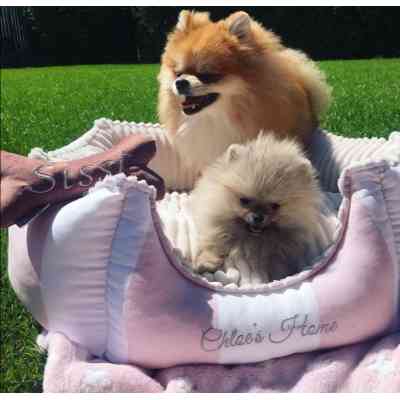 Лежак для тварин Chloe&apos;s Home Monte Carlo S рожевий (CLH0069) Вінниця