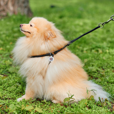 Шлей для собак WAUDOG Soft с QR паспортом круглая Д 6 мм А 26-46 см В 30-50 см черная (46231) Винница - изображение 2