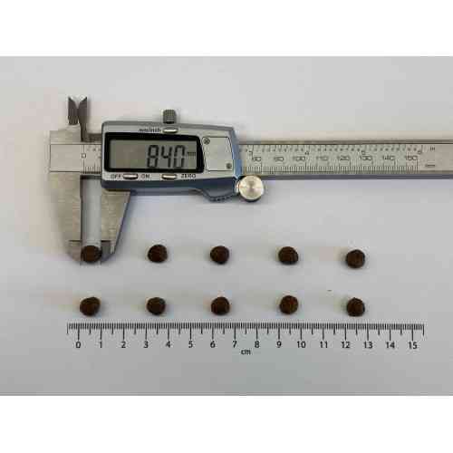 Корм сухой Brit Care Grain Free Mini Adult Lamb для взрослых миниатюрных пород с ягненком 400 г Киев