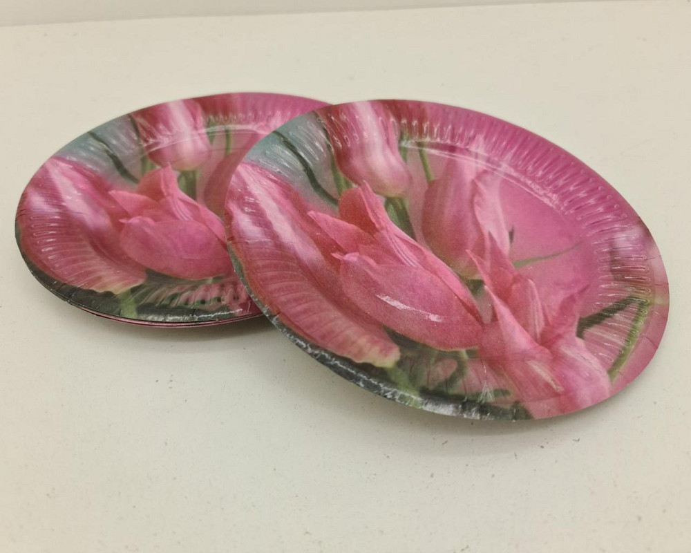 Бумажная тарелка с рисунком  18см