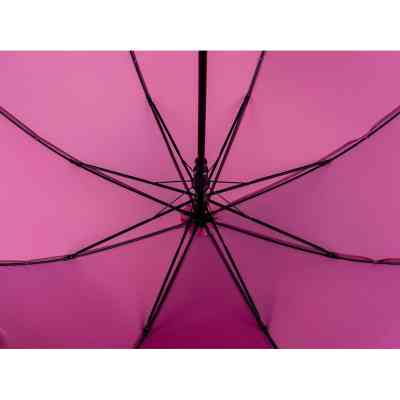 Зонт Kite дитяча 2001-1 фіолетовий хамелеон (K24-2001-1) Винница