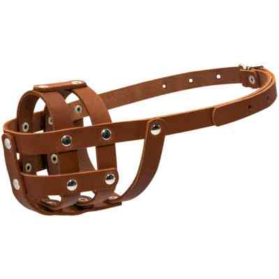 Намордник для собак Collar мягкий №0 (спаниель) коричневый (06336) Винница