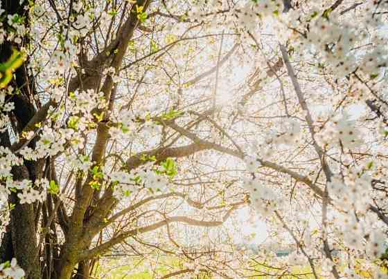 Объектив Nikon Nikkor 28-105mm f3,5 -4,5 D. Киев