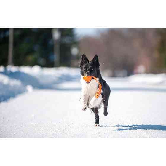 М'ячик ЛАЙКЕР7 Лайн, діаметр 7 см Вінниця