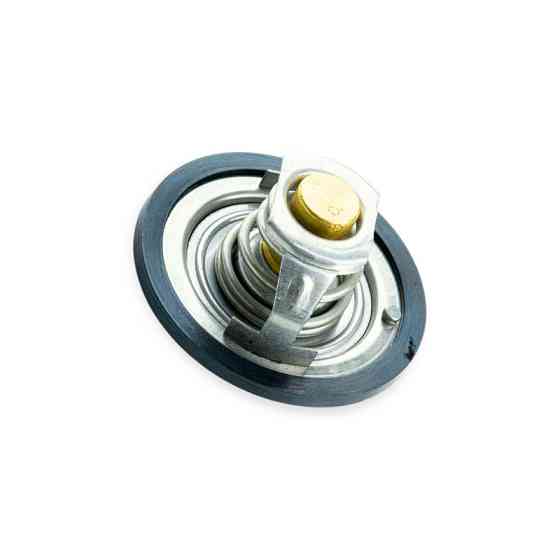 Термостат ГАЗ 3302 (вставка-термоелемент) (4216) (87°C) Мукачево