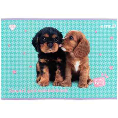 Альбом для малювання Kite Studio Pets, 24 аркуша (SP25-242) Вінниця