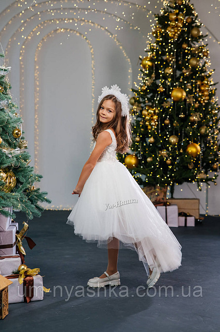 Святкова пишна сукня на ріст 110-122 Кривий Ріг - фото 2