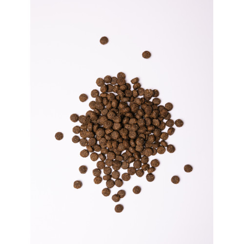 Корм сухий Savory Medium Breed rich in Fresh Turkey and Lamb для дорослих собак середніх порід від 10 до 25 кг зі свіжим ягн Київ - фото 2