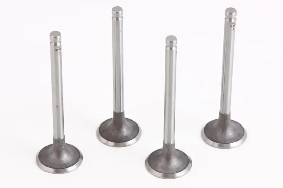 Клапана Таврия RAF впускные (4 шт.) Винница