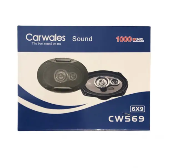 Динаміки автомобільні Carwals Sound CWS-69 6х9 Київ