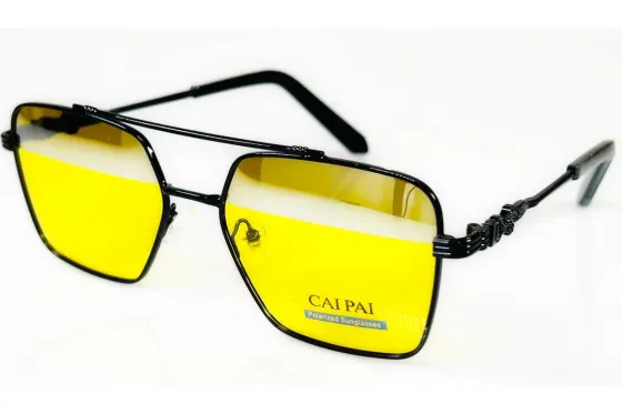 Очки для вождения W108 C1 Луцк