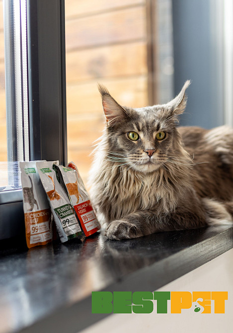 Nature’s Protection Adult cats Sterilised Salmon with Herbs Вологий корм для стерилізованих котів з лососем і травами, 100 г Київ - фото 5