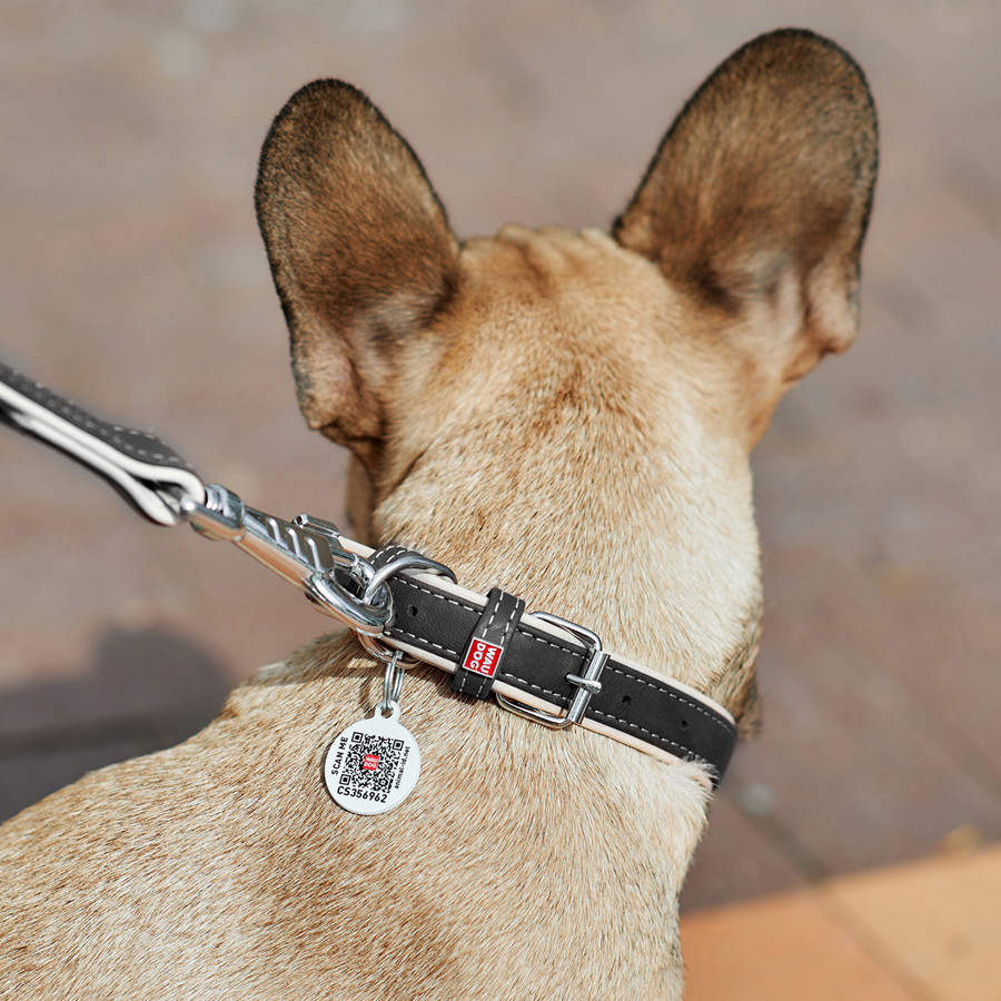 Нашийник для собак шкіряний WAUDOG Soft з QR паспортом, Ш 20 мм, Дов 30-39 см чорний Коломыя - изображение 6