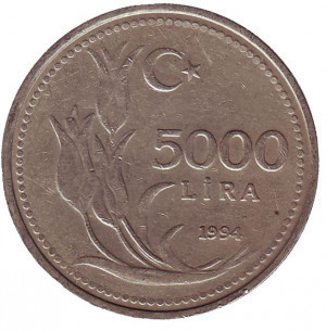 Монета 5000 лір. 1994,95 рік, Туреччина. (Г) Полтава - фото 1
