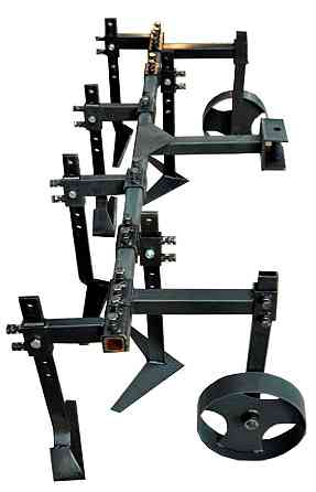 Пропольник широкорядный 