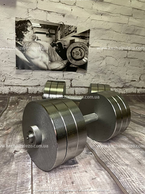 Штанга W-подібна + гантелі металеві 2 по 26 кг Набір 58 кг Гантелі, гирі, штанги та диски набірні Київ - фото 8