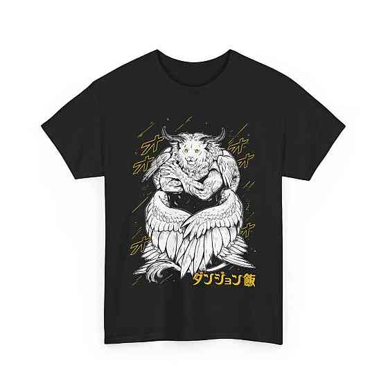 Футболка аниме Деликиоус Ін Дунгеон Сенсхи оверсайз (S/M/L) Черний AnimeJ0084 Днепр