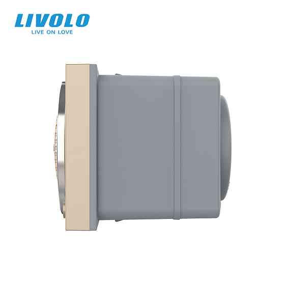 LIVOLO Механізм Bluetooth колонка Livolo золото (VL-FCF-2AP) Коломыя