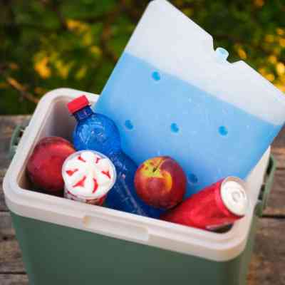 Аккумулятор холода Quest гелевий 34х24х2,5 см, 1500 мл (Q1500) Винница