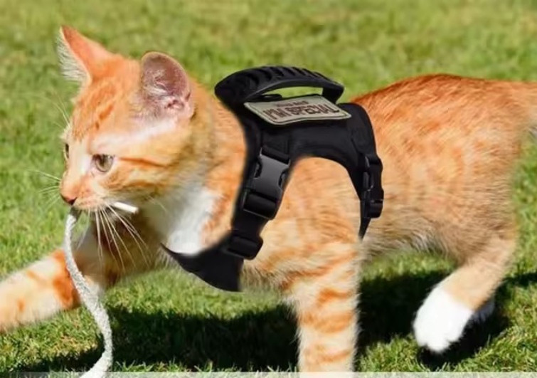 Шлея для котів та собак One Size чорний Київ - фото 1