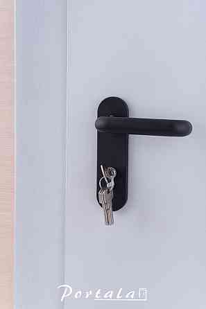 Двери технические, ЕИ30, гнутый профиль 80 мм, РАЛ 7035, толщина полотна 60 мм, 850 Киев