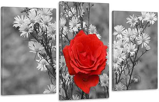 Модульная картина Цветы Красная Роза Art-150_3 Киев