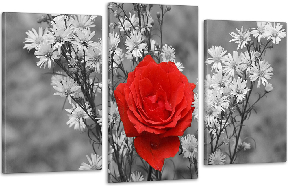 Модульная картина Цветы Красная Роза Art-150_3 Киев - изображение 1
