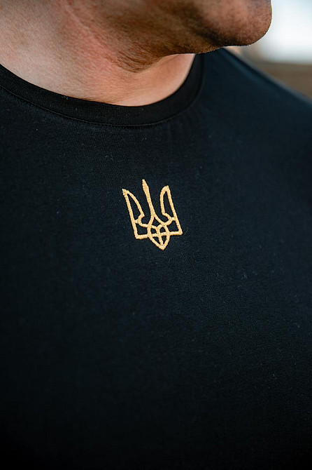 Футболка з вишивкою, дитяча "Герб", чорна, 95% бавовна, для всієї родини топ Крохатушка- Одяг Київ - фото 3