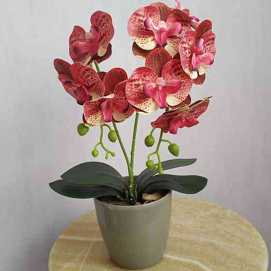 Штучна латексна міні орхідея в сірому пластиковому кашпо на дві гілки жовто-малинова Дніпро