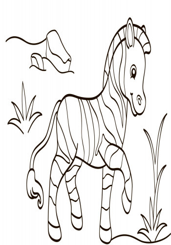 Дитяча водна розмальовка: Екзотичні тварини 734012, 8 сторінок Вінниця - фото 6