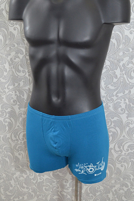 Труси чоловічі шорти Lans 06/014 L, Блакитний Київ - фото 1