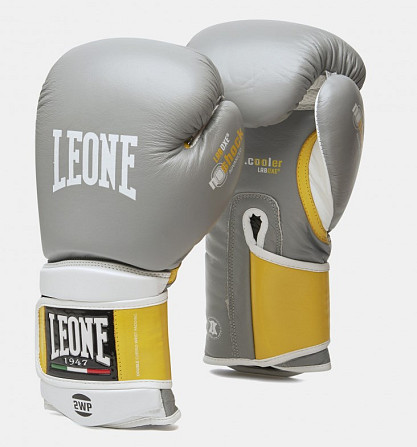 Боксерські рукавиці Leone Tecnico Grey 10 ун. Каменское - изображение 1