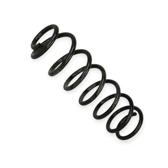 Пружина задняя автомобиль Рено Scenic III 09- Мукачево